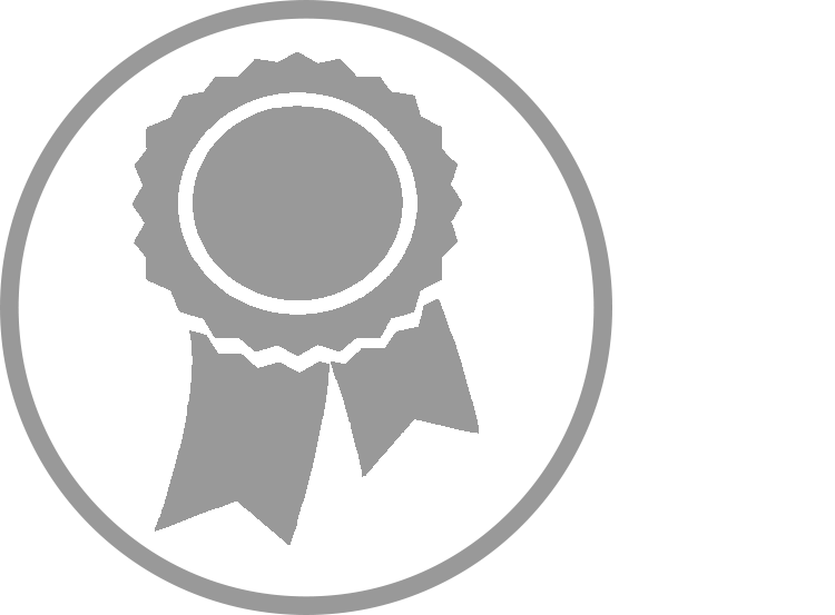 medal icon illustrating the service : implementing your transition initiatives in line with your company’s values and needs